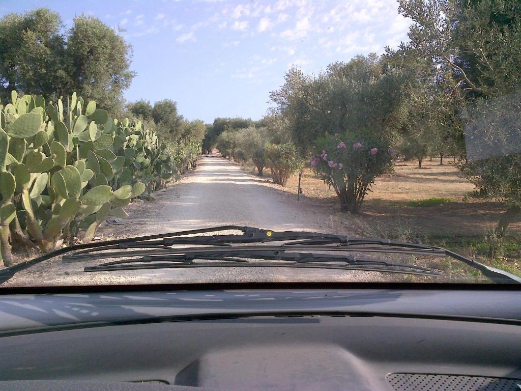 Masseria Asciano Ostuni Cameră foto